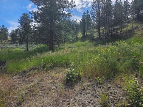 Tiny photo for 569 Creek Hollow Way, Florence, MT 59833 (MLS # 30073479)