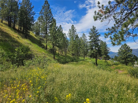 Tiny photo for 569 Creek Hollow Way, Florence, MT 59833 (MLS # 30073479)