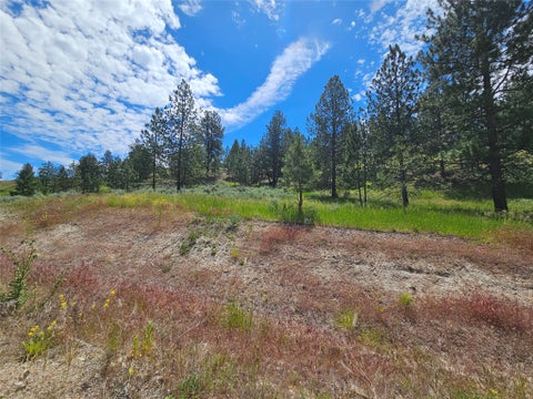 Tiny photo for 569 Creek Hollow Way, Florence, MT 59833 (MLS # 30073479)