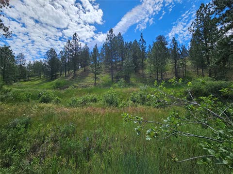 Photo of 569 Creek Hollow Way, Florence, MT 59833 (MLS # 30073479)