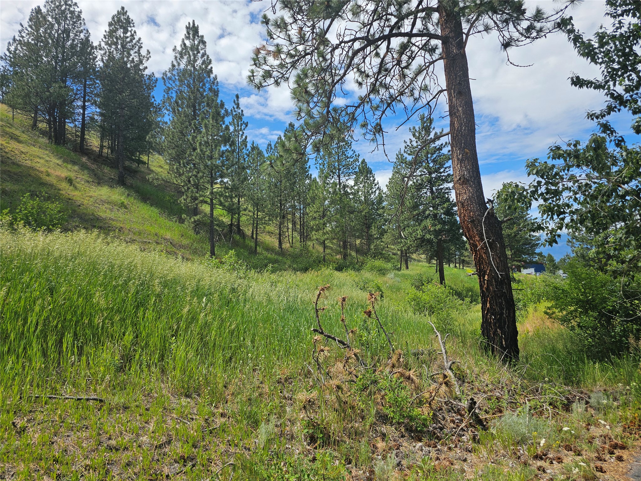 569 Creek Hollow Way