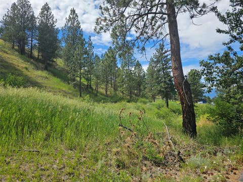 Tiny photo for 569 Creek Hollow Way, Florence, MT 59833 (MLS # 30073479)
