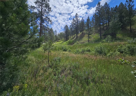 Tiny photo for 569 Creek Hollow Way, Florence, MT 59833 (MLS # 30073479)