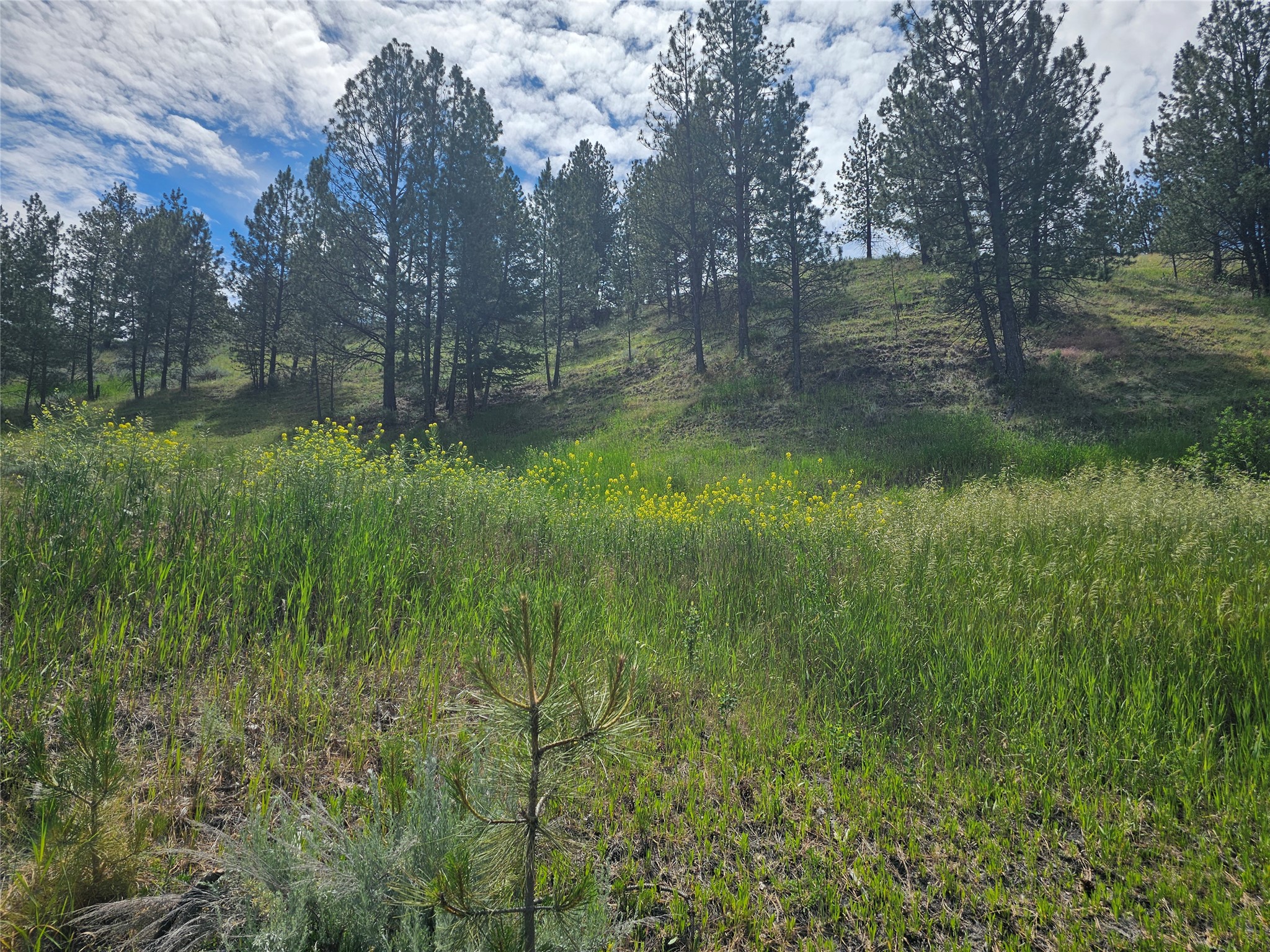569 Creek Hollow Way