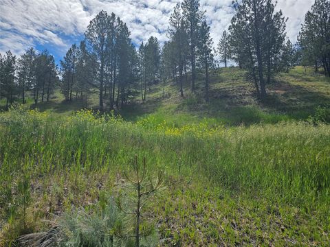 Tiny photo for 569 Creek Hollow Way, Florence, MT 59833 (MLS # 30073479)
