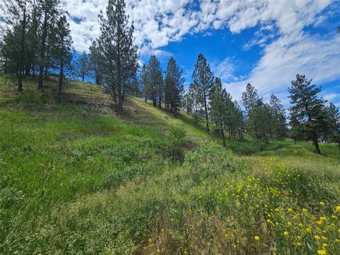 Tiny photo for 569 Creek Hollow Way, Florence, MT 59833 (MLS # 30073479)