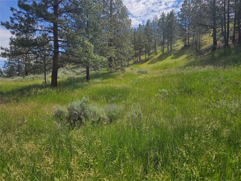 Tiny photo for 569 Creek Hollow Way, Florence, MT 59833 (MLS # 30073479)