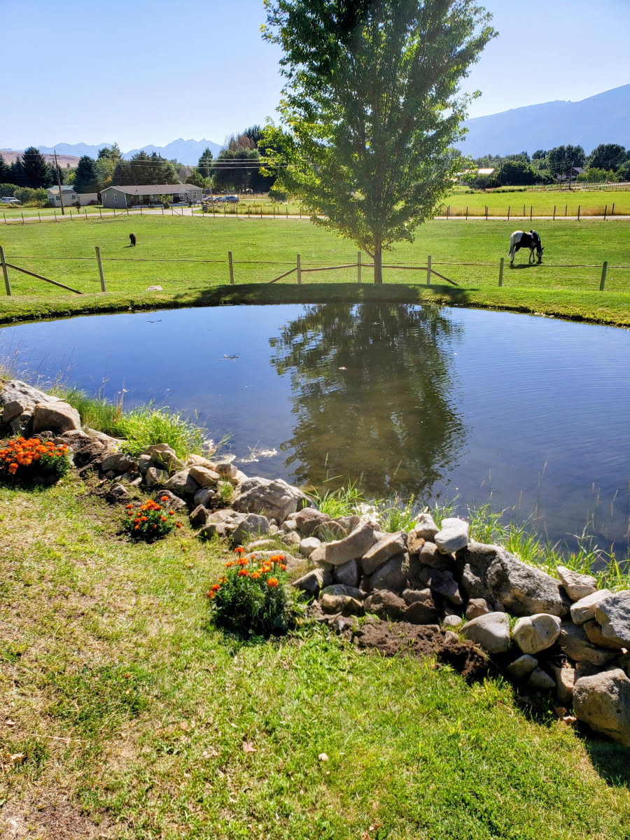 Hamilton, Montana, 59840, United States, 4 Bedrooms Bedrooms, ,3 BathroomsBathrooms,Residential,Active,2021954