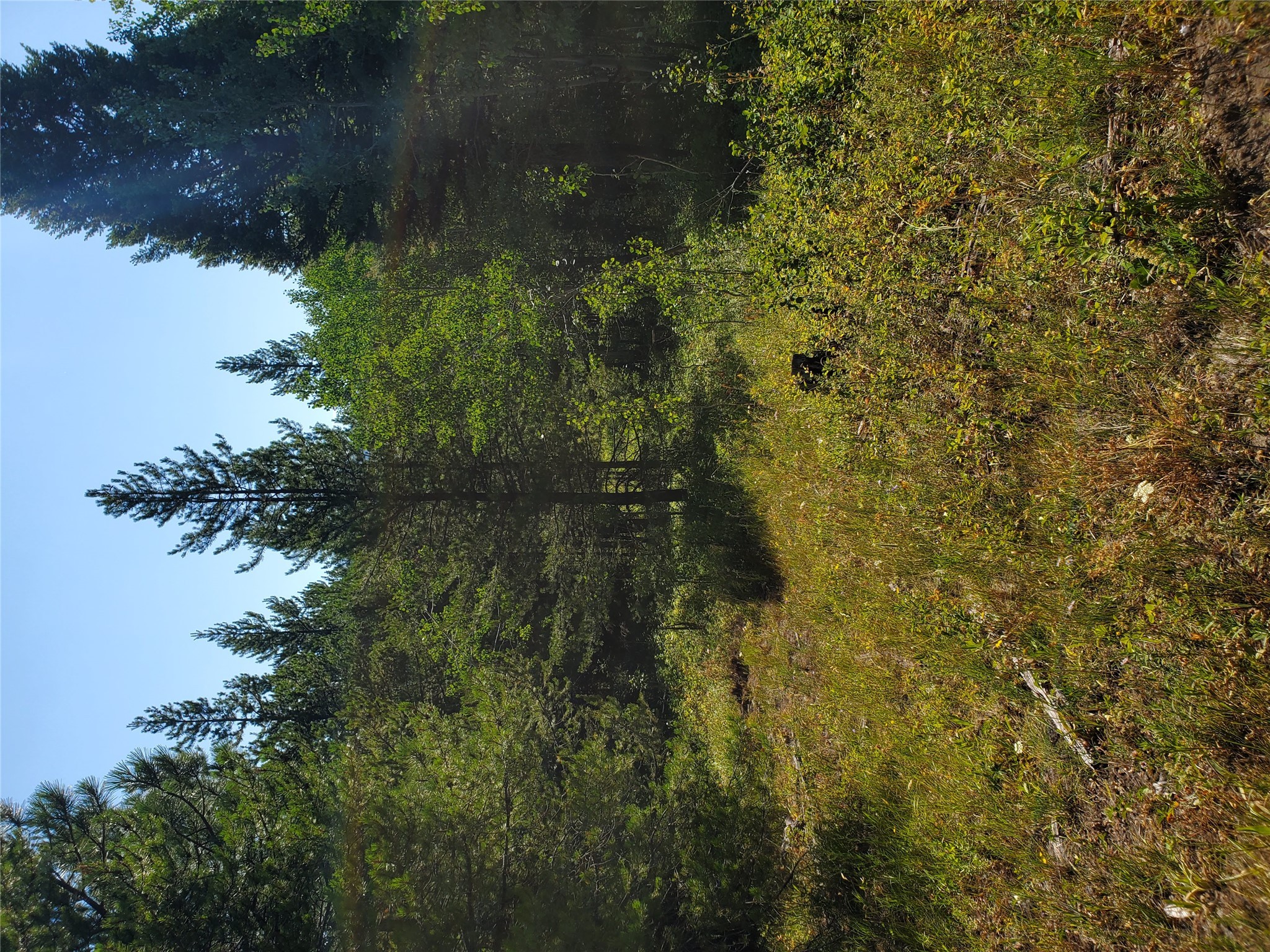 no known 2 Bear Springs Road