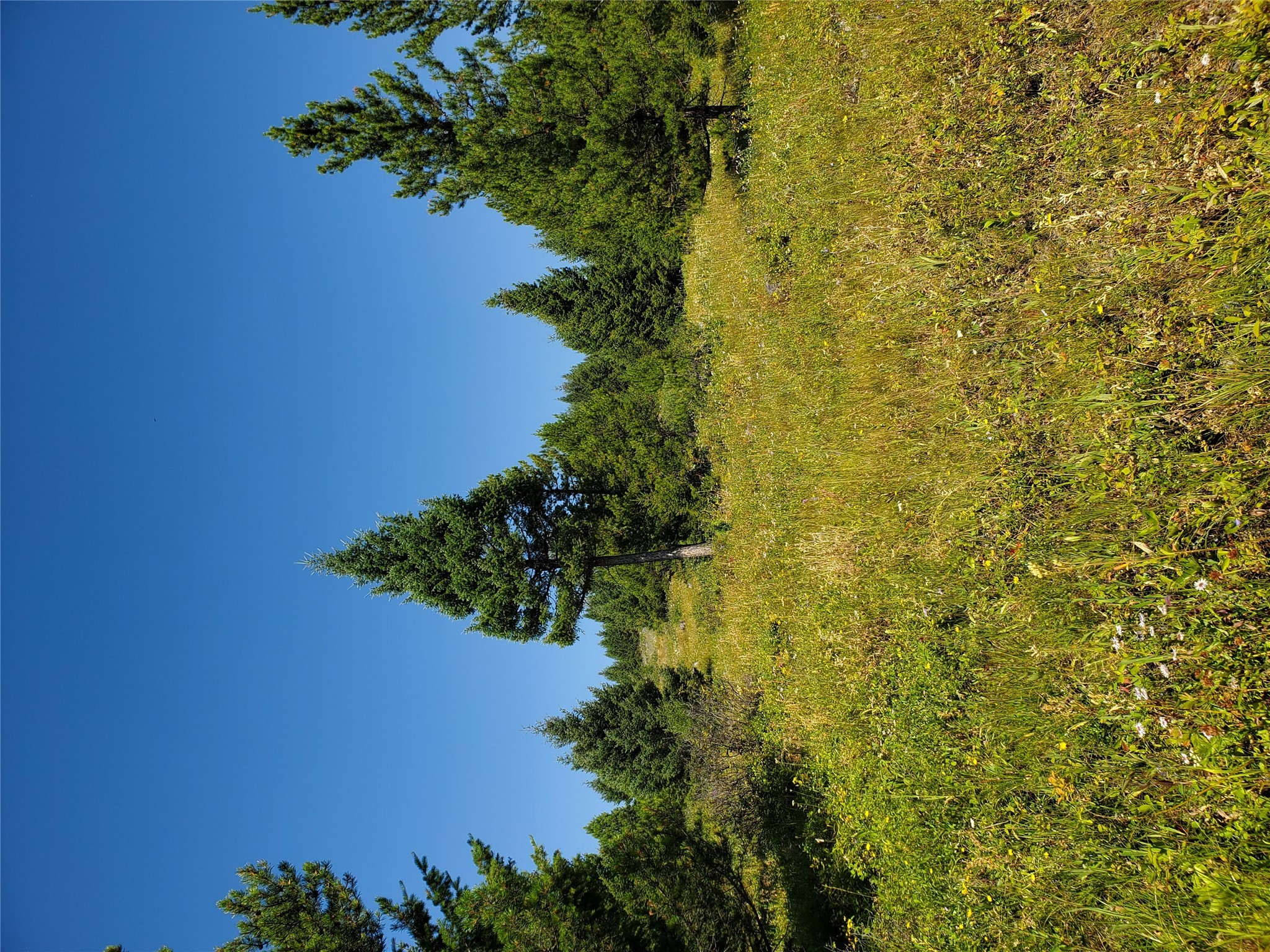 no known 2 Bear Springs Road