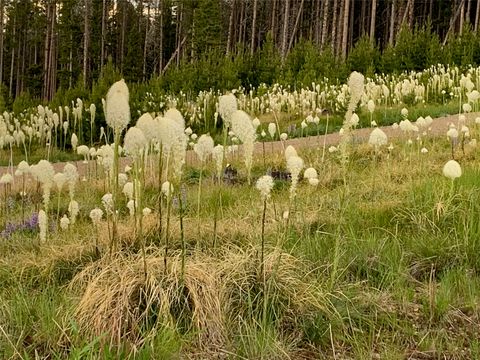 Tiny photo for 105 Damsel Lane, Anaconda, MT 59711 (MLS # 30068241)