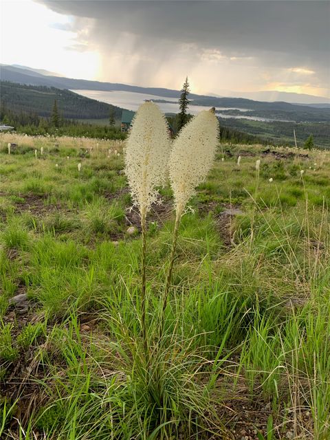 Tiny photo for 105 Damsel Lane, Anaconda, MT 59711 (MLS # 30068241)