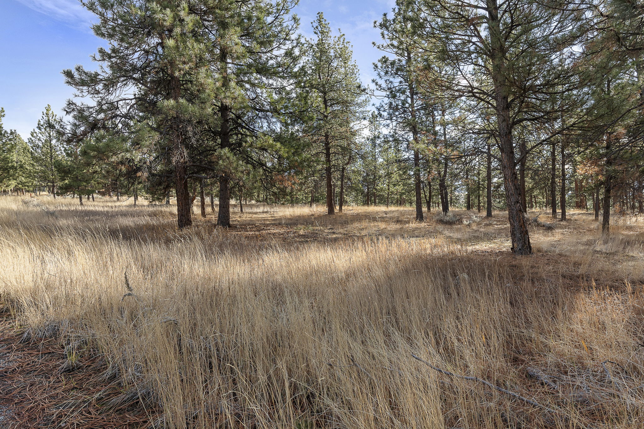 778 Lord Byron Trail