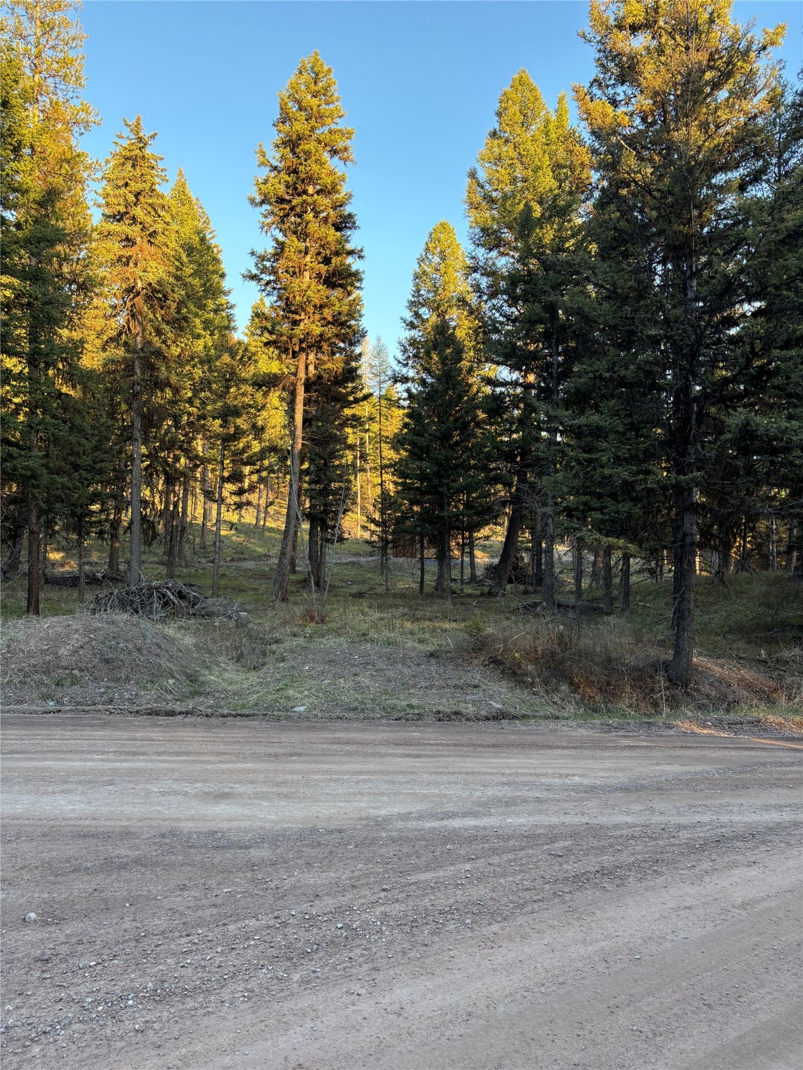 139 Montana View Drive