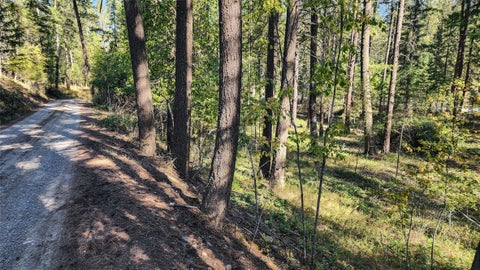 Tiny photo for 1505 Kootenai River Road, Libby, MT 59923 (MLS # 30072139)