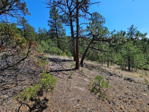 Tiny photo for NHN Upper Sawmill Creek Road, Cascade, MT 59421 (MLS # 30072536)