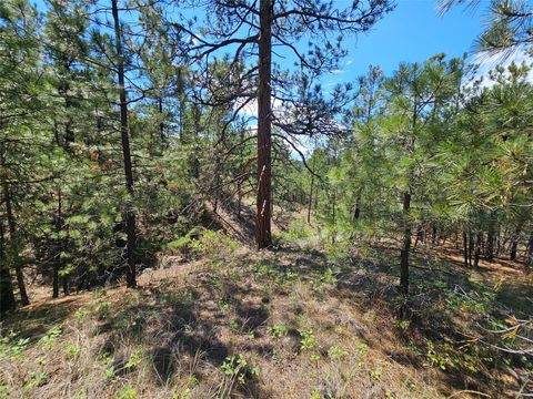 Tiny photo for NHN Upper Sawmill Creek Road, Cascade, MT 59421 (MLS # 30072536)