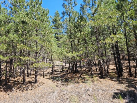 Tiny photo for NHN Upper Sawmill Creek Road, Cascade, MT 59421 (MLS # 30072536)