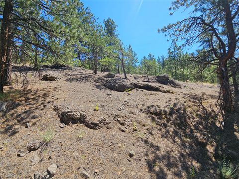 Tiny photo for NHN Upper Sawmill Creek Road, Cascade, MT 59421 (MLS # 30072536)