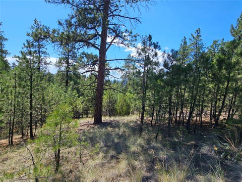 Tiny photo for NHN Upper Sawmill Creek Road, Cascade, MT 59421 (MLS # 30072536)
