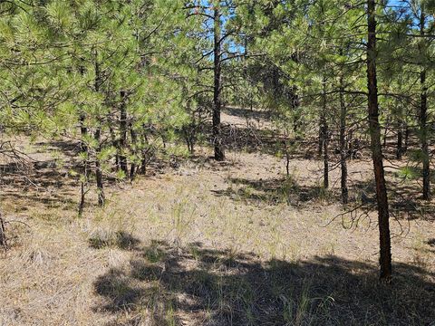 Tiny photo for NHN Upper Sawmill Creek Road, Cascade, MT 59421 (MLS # 30072536)