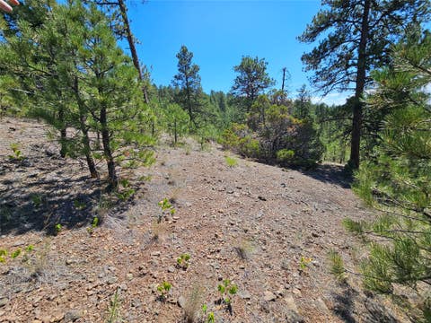 Tiny photo for NHN Upper Sawmill Creek Road, Cascade, MT 59421 (MLS # 30072536)