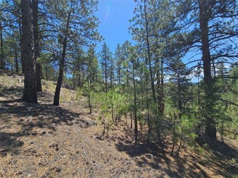 Tiny photo for NHN Upper Sawmill Creek Road, Cascade, MT 59421 (MLS # 30072536)