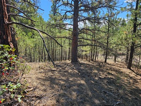 Tiny photo for NHN Upper Sawmill Creek Road, Cascade, MT 59421 (MLS # 30072536)