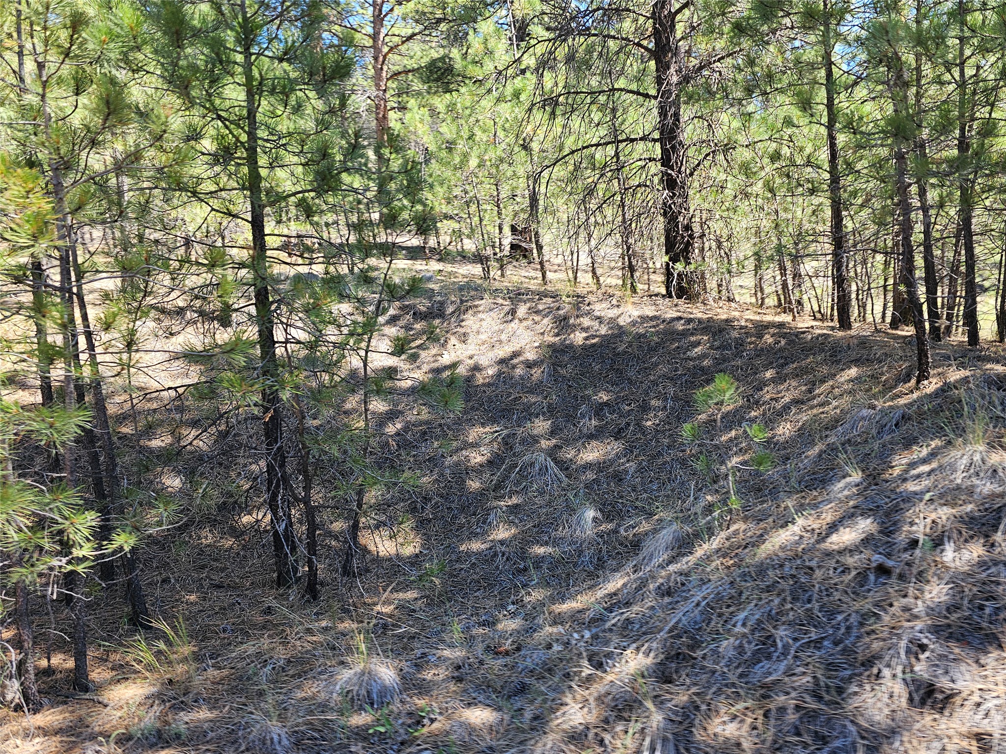 NHN Upper Sawmill Creek Road