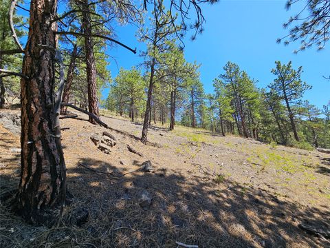 Tiny photo for NHN Upper Sawmill Creek Road, Cascade, MT 59421 (MLS # 30072536)