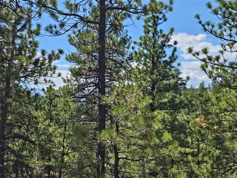 Tiny photo for NHN Upper Sawmill Creek Road, Cascade, MT 59421 (MLS # 30072536)