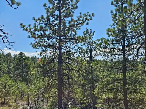 Tiny photo for NHN Upper Sawmill Creek Road, Cascade, MT 59421 (MLS # 30072536)