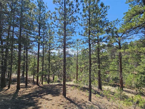 Photo of NHN Upper Sawmill Creek Road, Cascade, MT 59421 (MLS # 30072536)