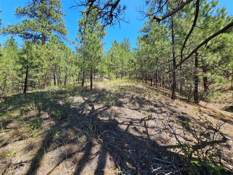 Tiny photo for NHN Upper Sawmill Creek Road, Cascade, MT 59421 (MLS # 30072536)