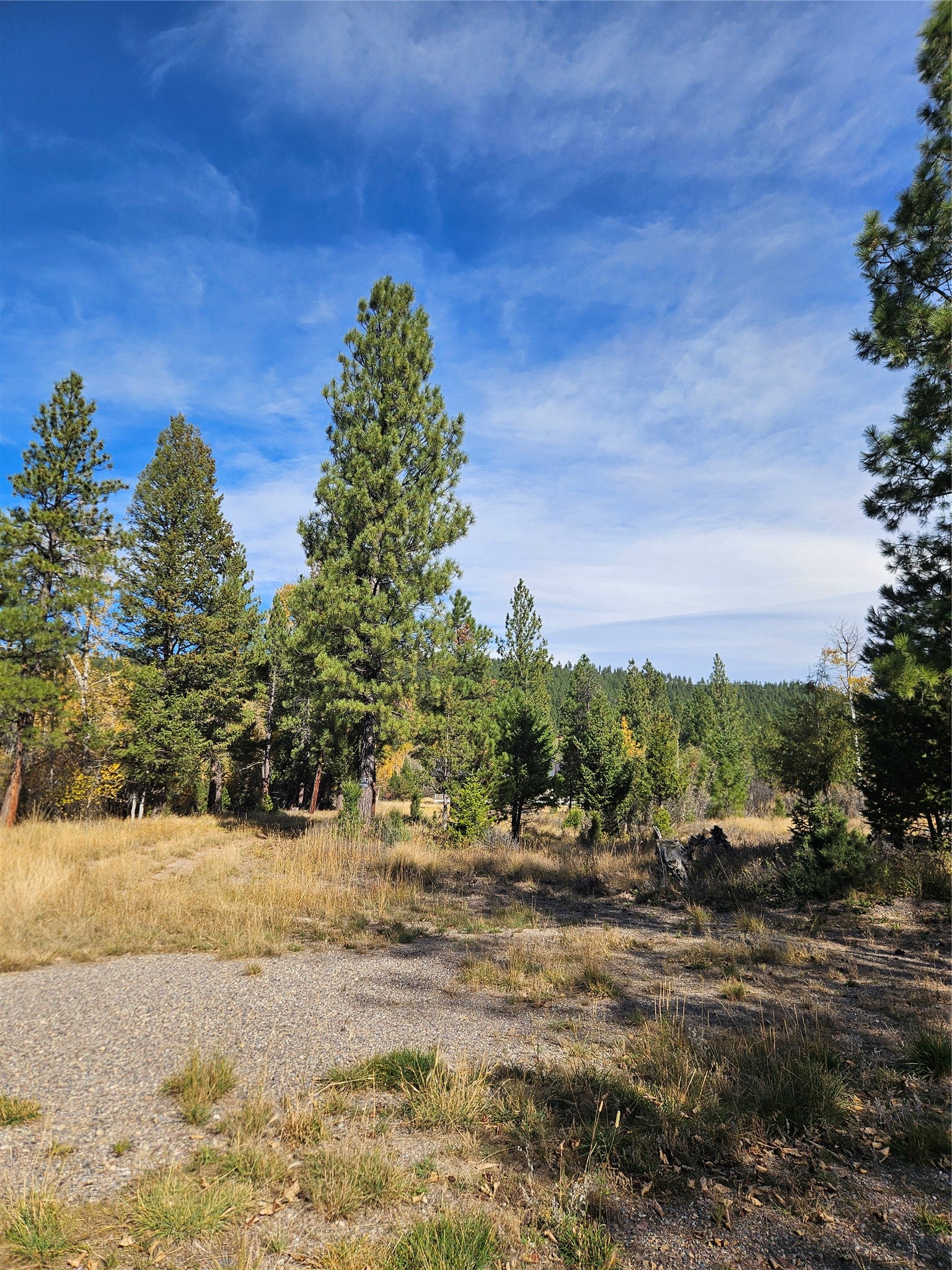 4270 Abe Lincoln Road