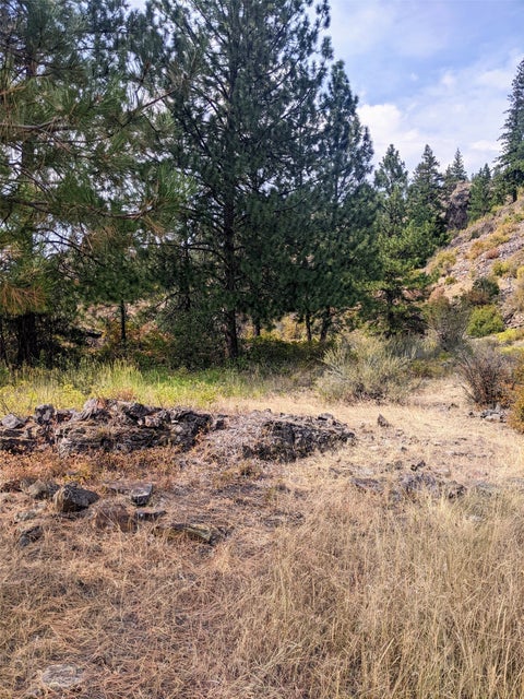 Tiny photo for Plains, MT 59859 (MLS # 30077227)