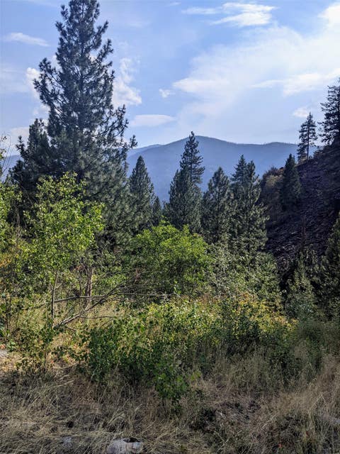 Tiny photo for Plains, MT 59859 (MLS # 30077227)