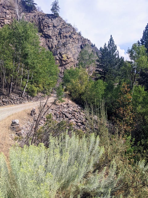 Tiny photo for Plains, MT 59859 (MLS # 30077227)