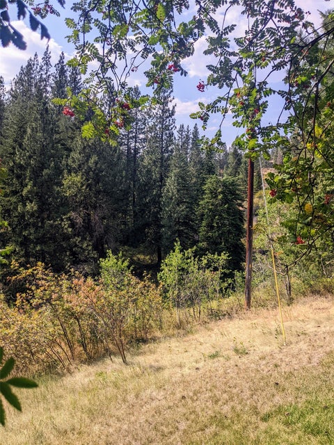Tiny photo for Plains, MT 59859 (MLS # 30077227)