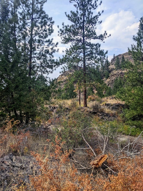 Tiny photo for Plains, MT 59859 (MLS # 30077227)