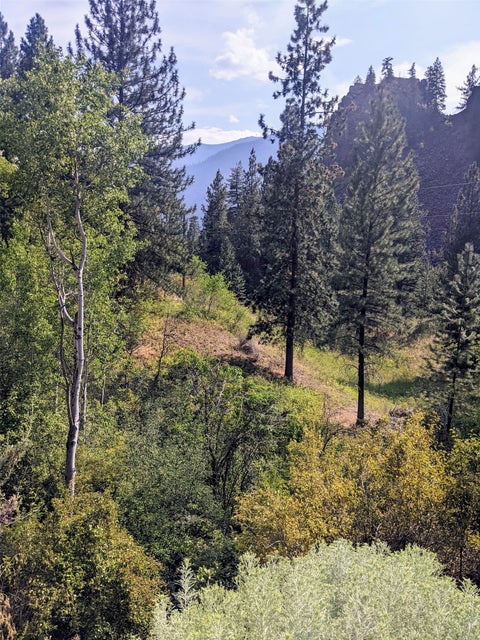 Tiny photo for Plains, MT 59859 (MLS # 30077227)