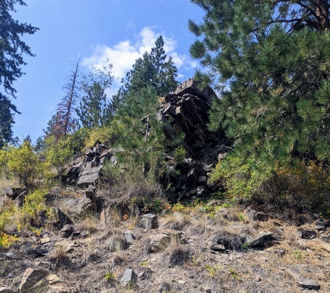 Tiny photo for Plains, MT 59859 (MLS # 30077227)