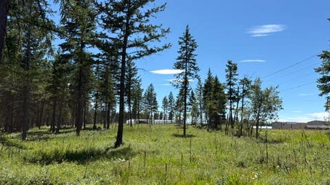 Tiny photo for 5089 US Hwy 93 S, Whitefish, MT 59937 (MLS # 30074580)