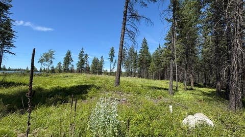 Tiny photo for 5089 US Hwy 93 S, Whitefish, MT 59937 (MLS # 30074580)