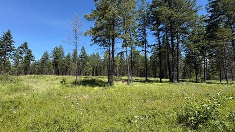 Tiny photo for 5089 US Hwy 93 S, Whitefish, MT 59937 (MLS # 30074580)