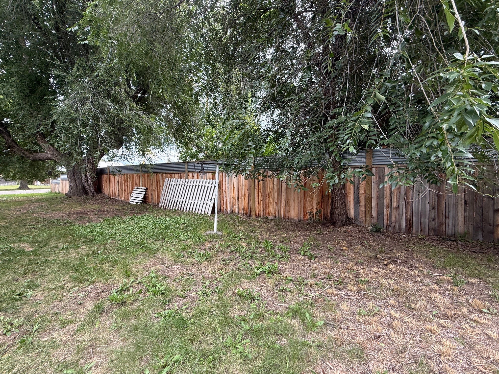 117 Daly Avenue
