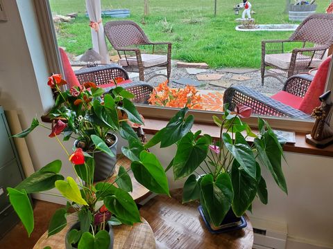 Tiny photo for 1559 Dalton Mountain Road, Lincoln, MT 59639 (MLS # 30071028)