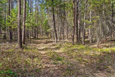 Tiny photo for 1085 K M Ranch Road, Whitefish, MT 59937 (MLS # 30064403)