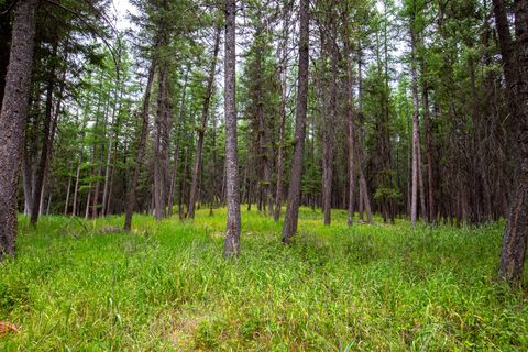 Tiny photo for 1085 K M Ranch Road, Whitefish, MT 59937 (MLS # 30064403)