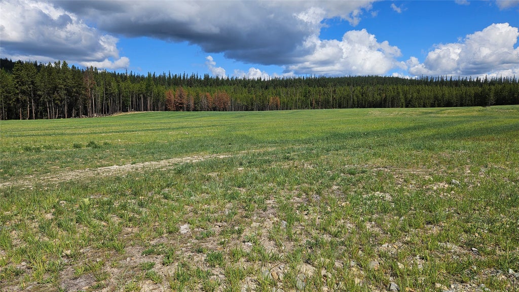 Photo of 146 Discovery Loop, Marion, MT 59925 (MLS # 30066416)